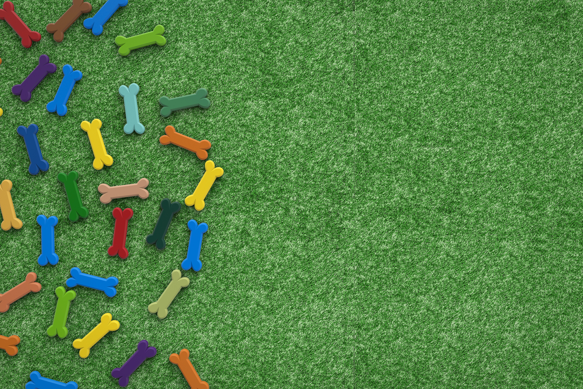 dog bones on green grass background